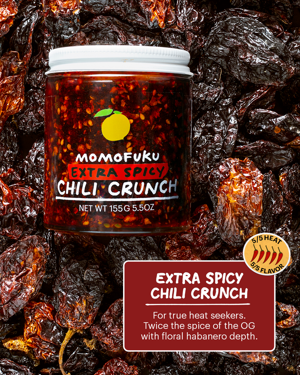 Extra Spicy Chili Crunch - Modern Ready