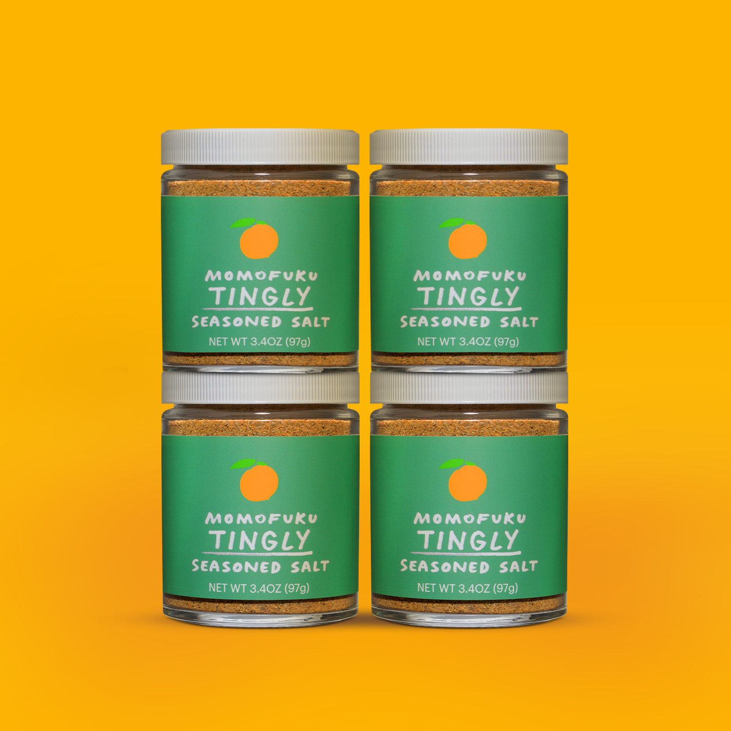 Tingly Salt 4-Pack - Modern Ready